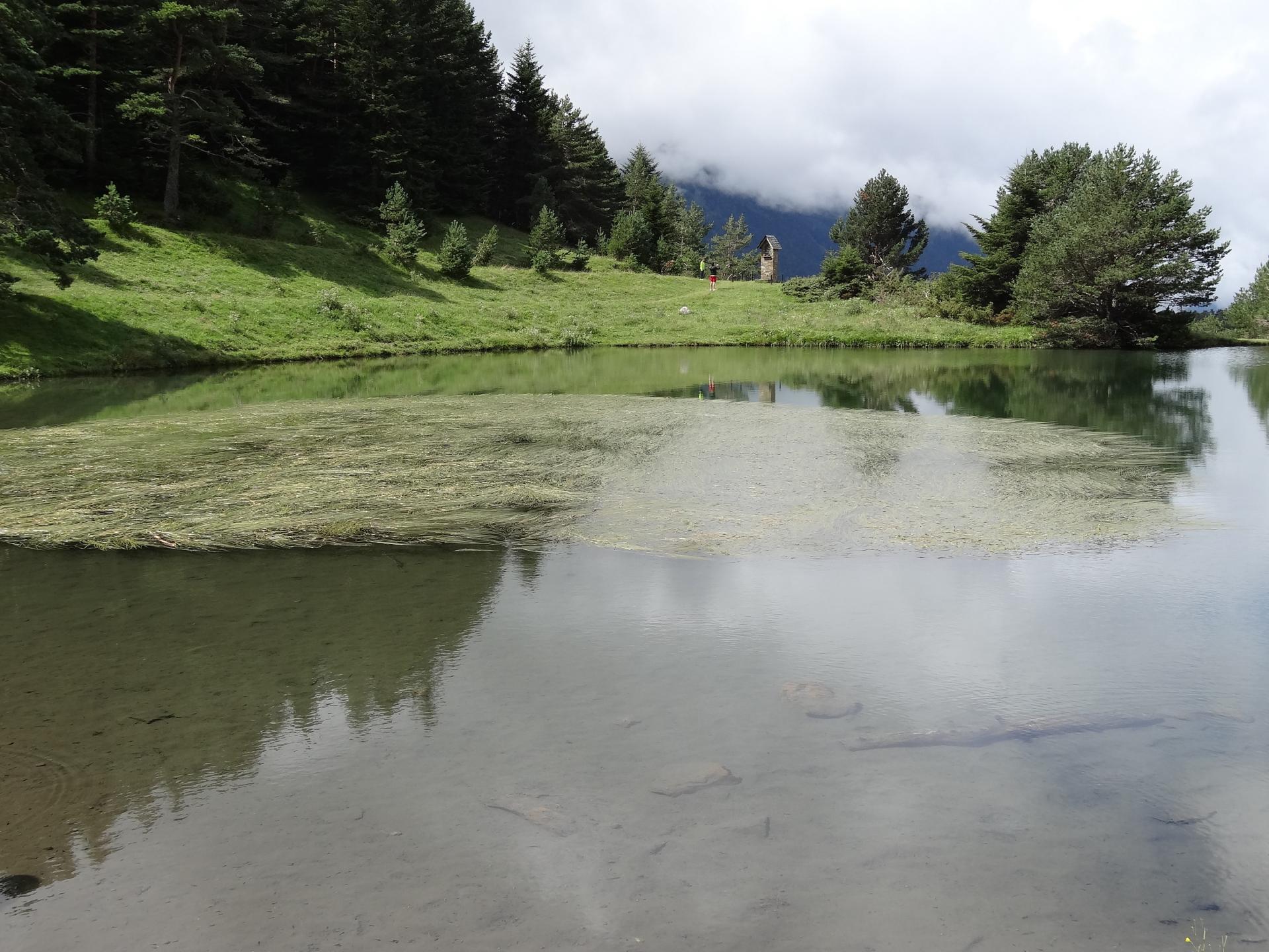 Bassa d'Arres